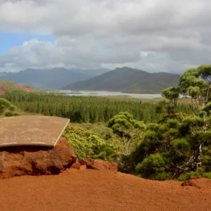 Le Parc de la Rivière Bleue au départ de Nouméa